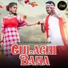 About Gulachi Baha Song